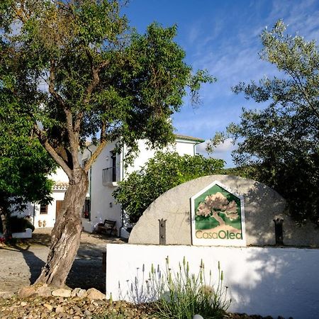 Casa Olea Bed & Breakfast ปรีเอโก เด กอร์โดบา ภายนอก รูปภาพ