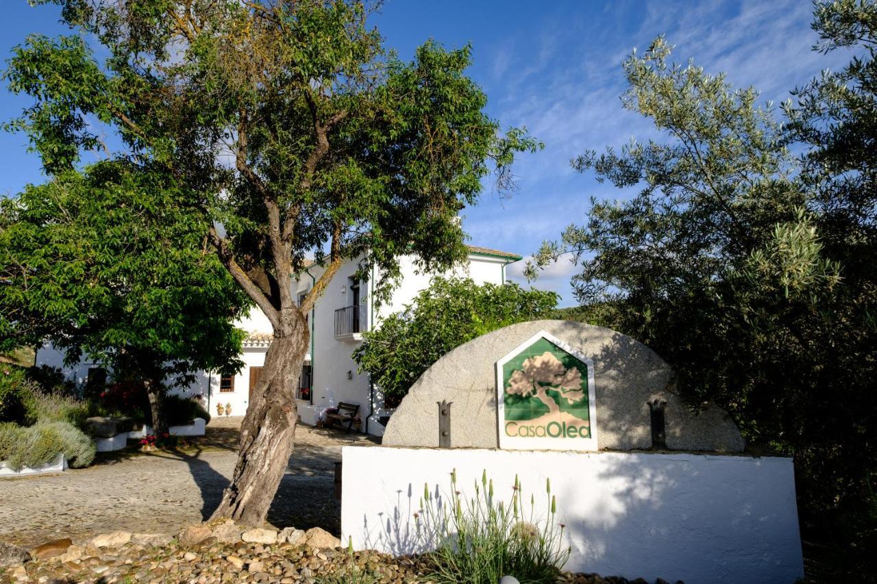 Casa Olea Bed & Breakfast ปรีเอโก เด กอร์โดบา ภายนอก รูปภาพ